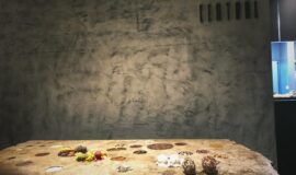 Discover culinary excellence in Peru