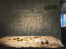 Discover culinary excellence in Peru