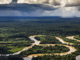  What to do in the jungle of Iquitos?