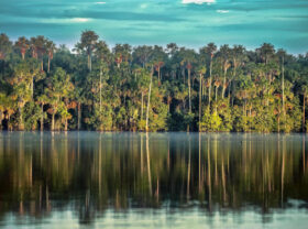 Lago Sandoval “El corazón de Tambopata”