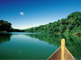 6 Razones por las que deberías visitar el Parque Nacional del Manu.