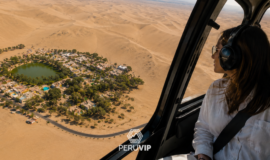 Flight Over the Ica Dunes with a Private Landing